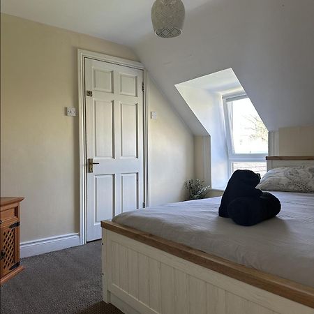 The Grapevine Hostel 丁格尔 外观 照片