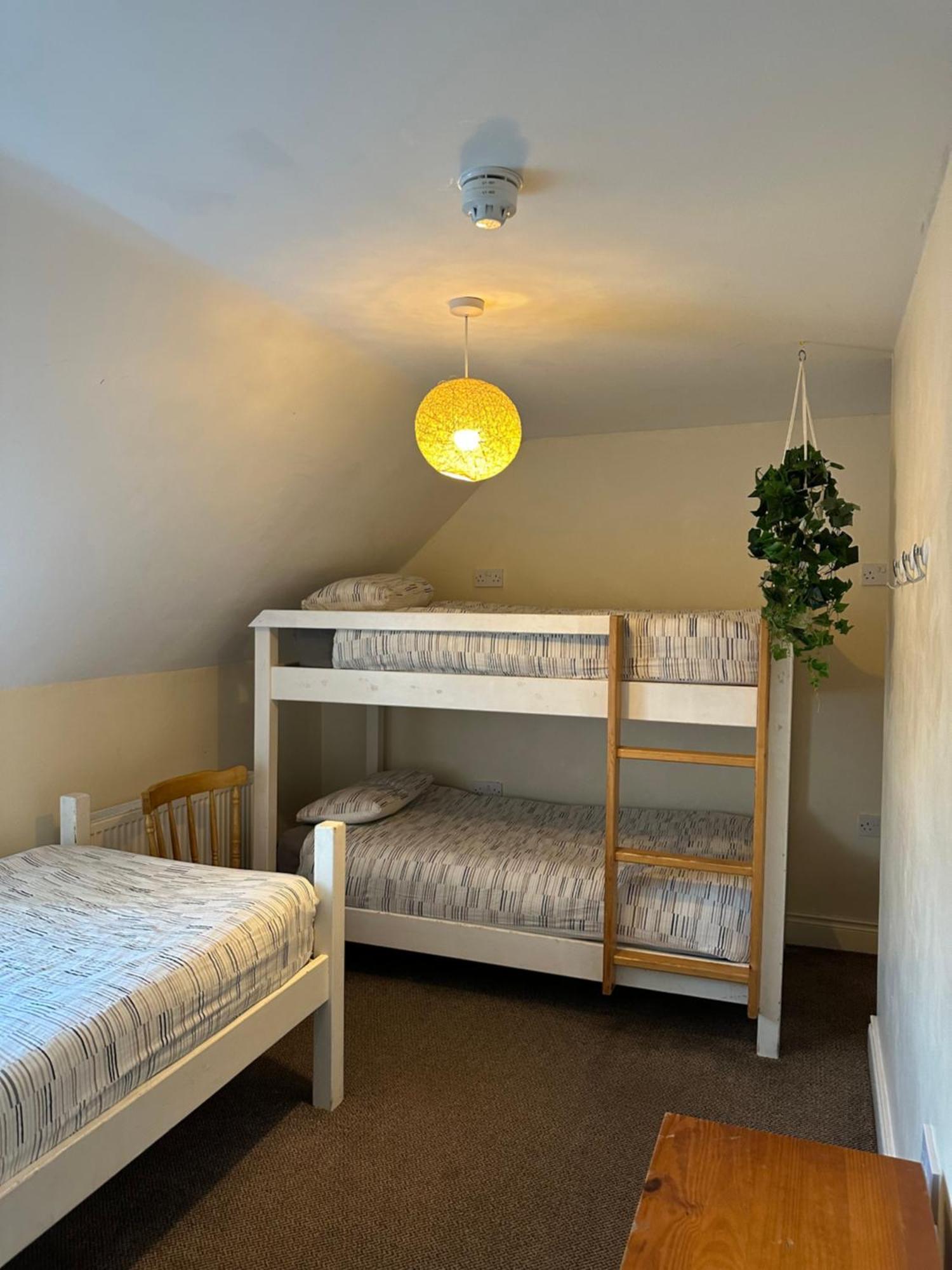 The Grapevine Hostel 丁格尔 外观 照片